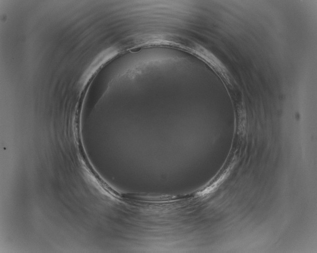 X0000078240806200611031108