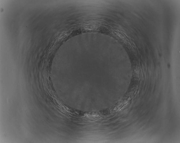 X0000078240817200611031107