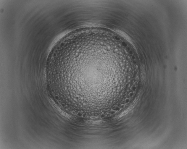 X0000078240831200611031108