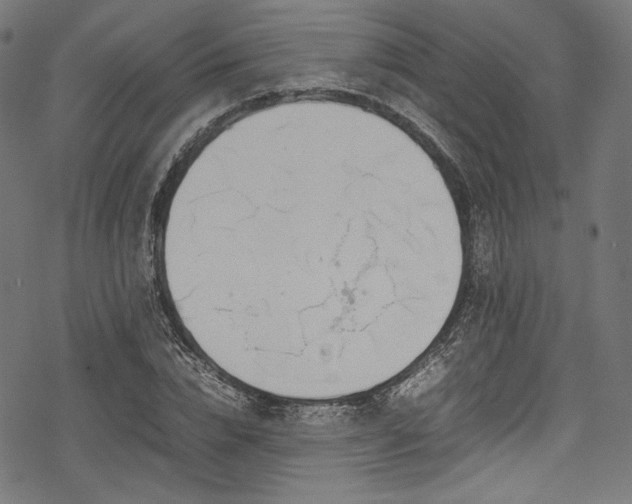 X0000078240832200611031108