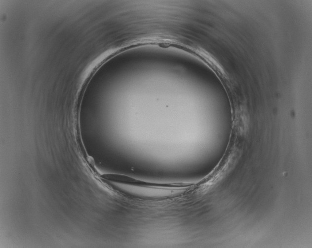 X0000078240854200611031108