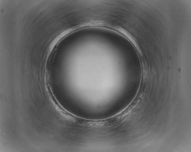 X0000078240861200611031108