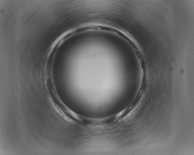 X0000078240862200611031108