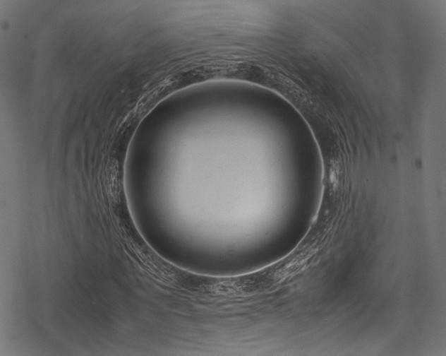 X0000078240867200611031107