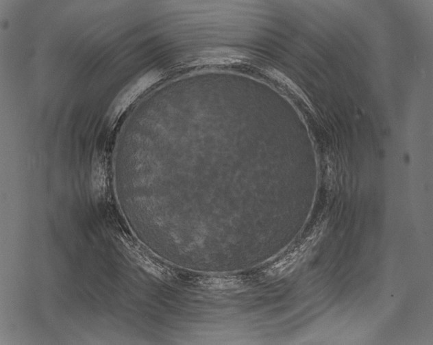 X0000078240874200611031107