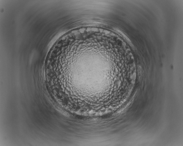 X0000078240891200611031107