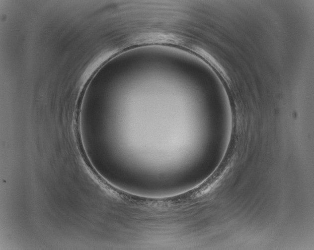 X0000078240901200611031107