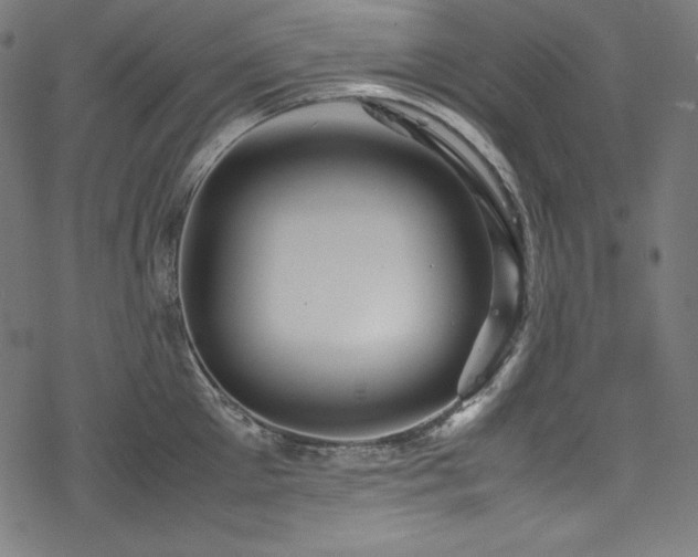 X0000078240905200611031107