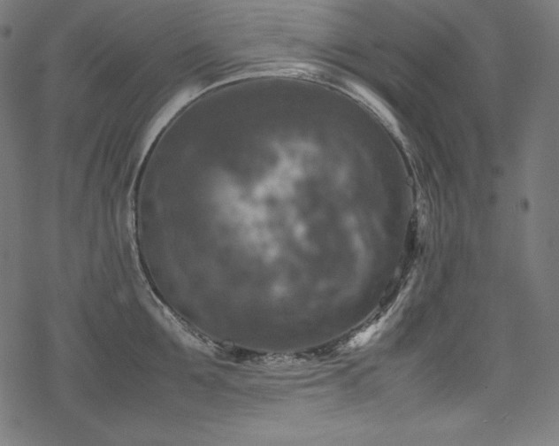 X0000078240907200611031107