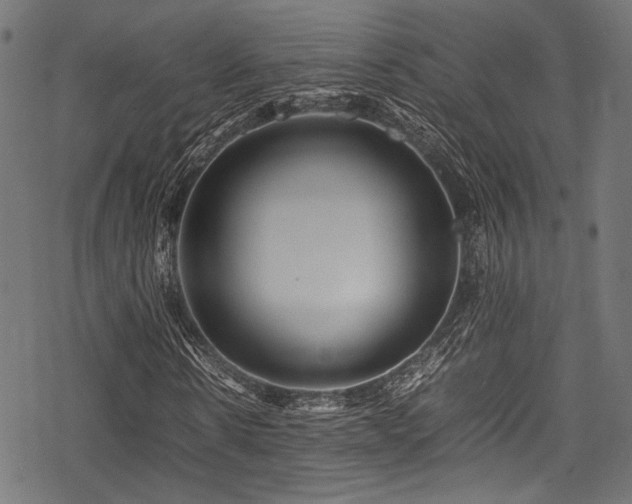 X0000078240914200611031106