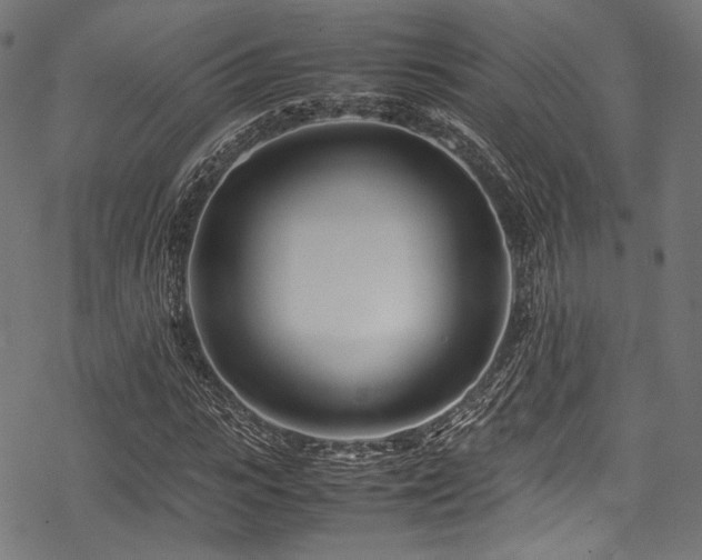 X0000078240919200611031106
