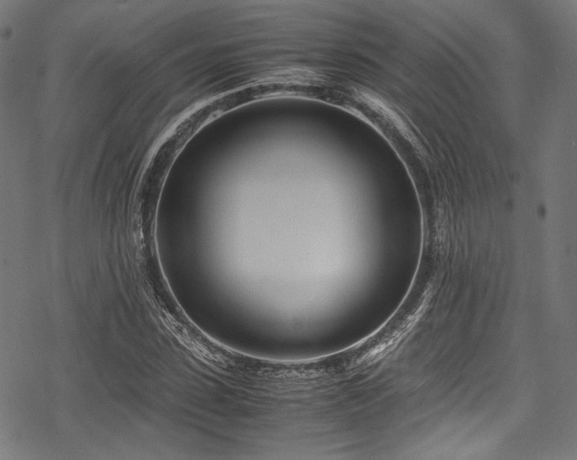 X0000078240923200611031106