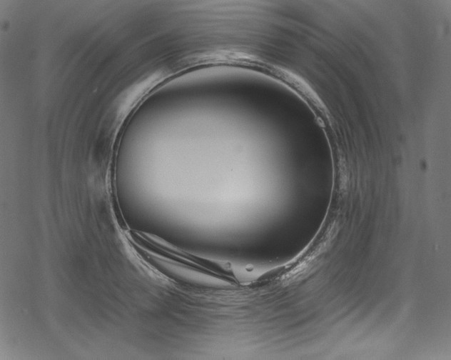 X0000078240946200611031106