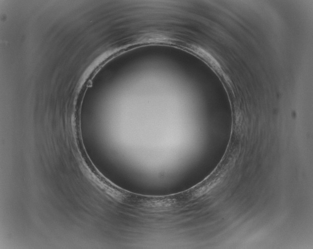 X0000078240947200611031106