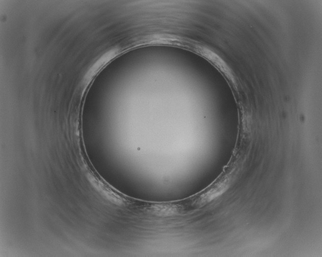 X0000078240954200611031106