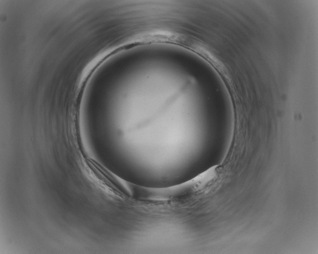 X0000078240960200611031107