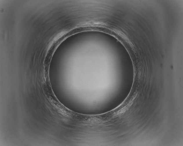 X0000078240974200611031106