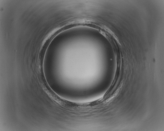 X0000078240981200611031105