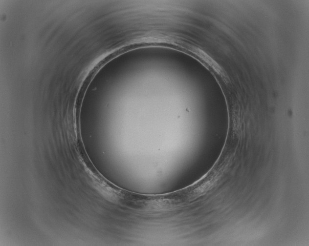 X0000078240988200611031105