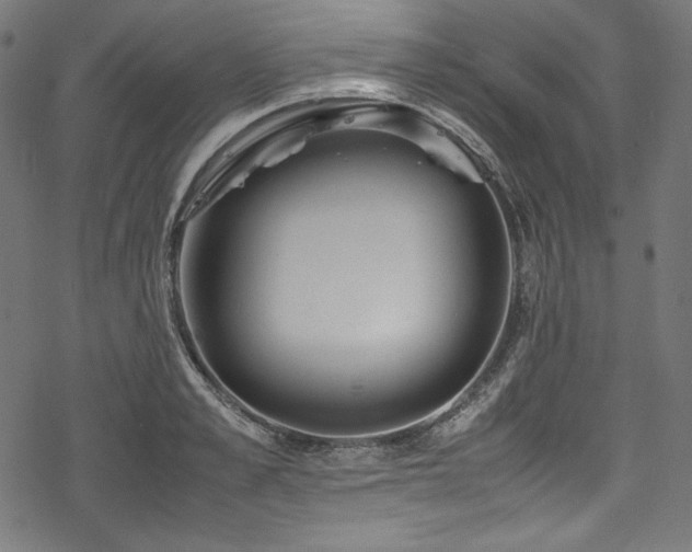 X0000078240989200611031105