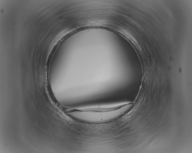 X0000078240992200611031105
