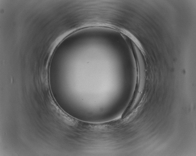 X0000078241004200611031105