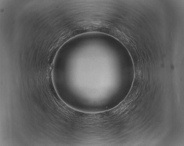 X0000078241012200611031104