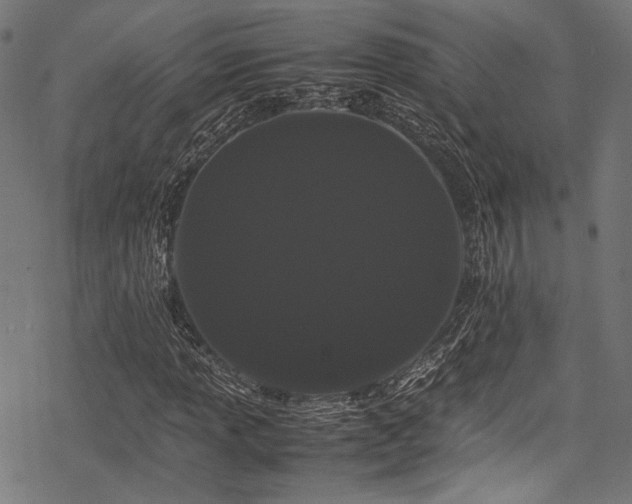 X0000078241013200611031104