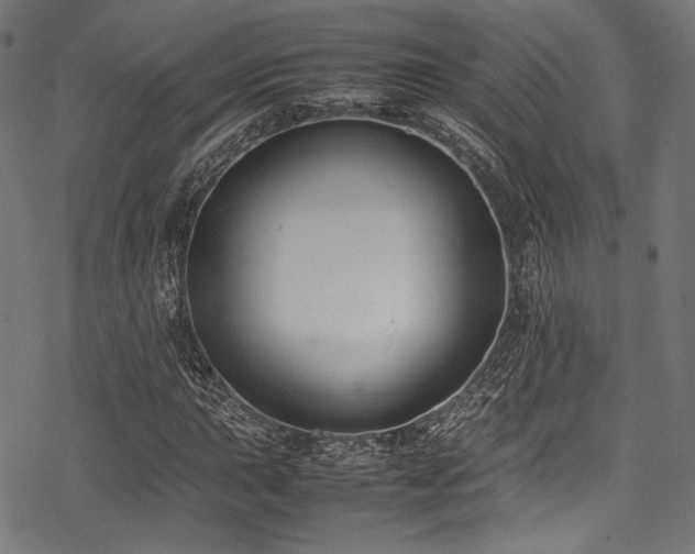 X0000078241015200611031104