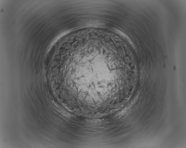 X0000078241019200611031104