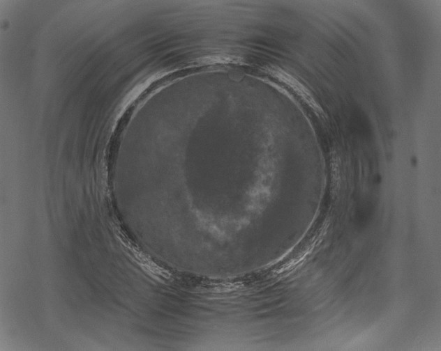 X0000078241023200611031104