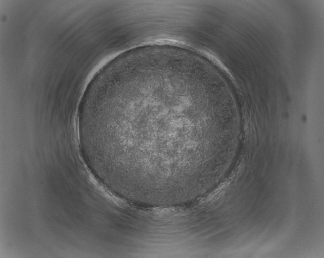 X0000078241032200611031105