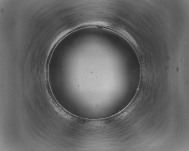 X0000078241044200611031105