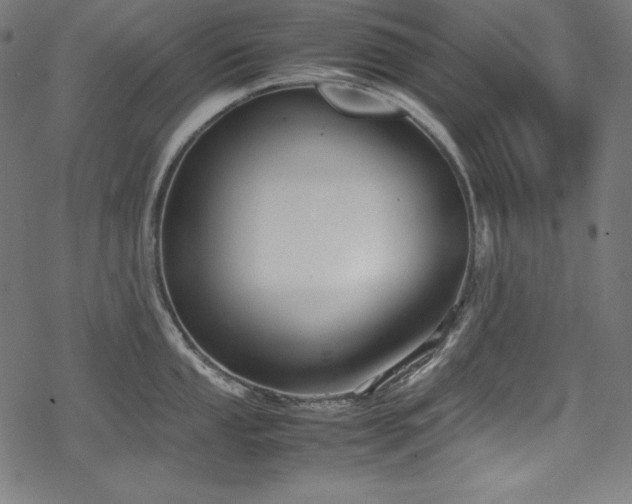 X0000078241053200611031105
