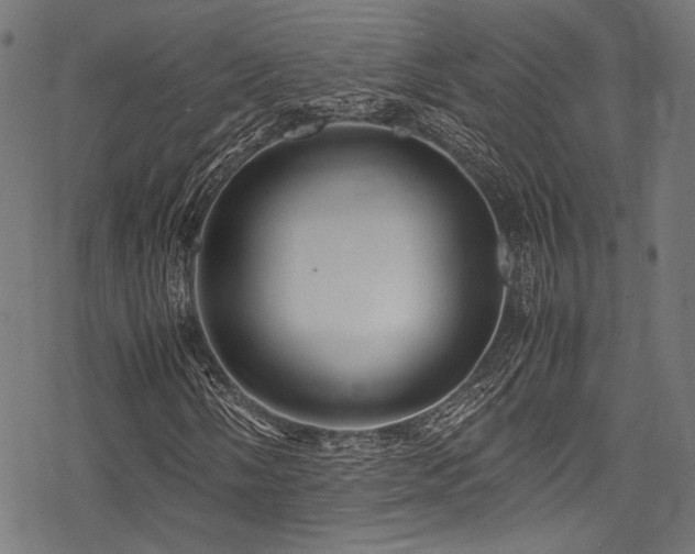 X0000078241058200611031104
