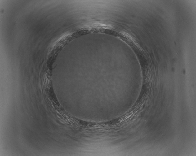 X0000078241063200611031104