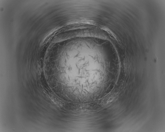 X0000078241064200611031104