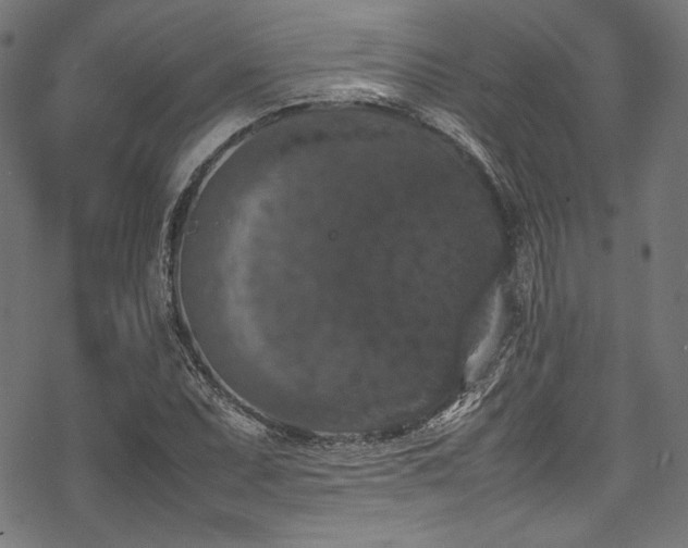 X0000078241071200611031104