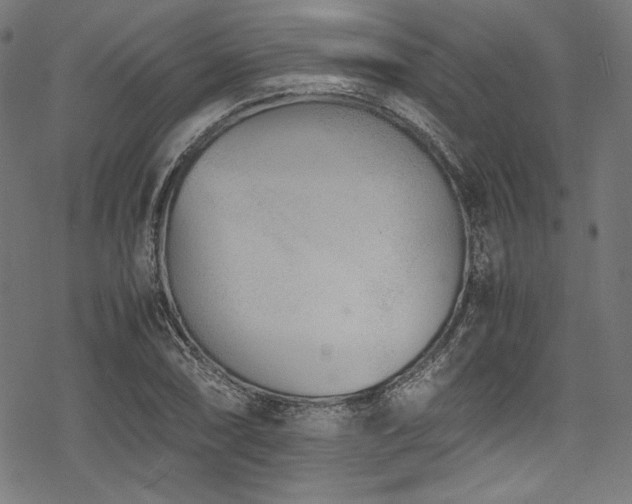 X0000078241074200611031104