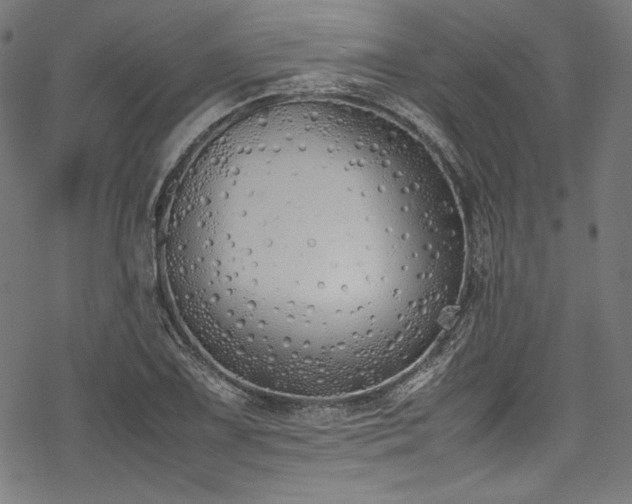 X0000078241075200611031104