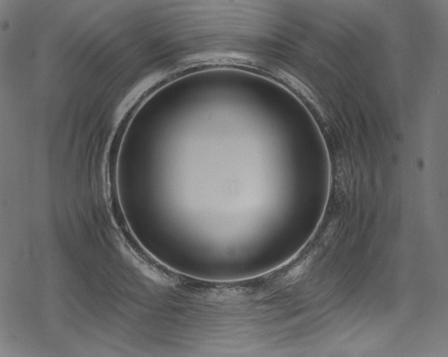 X0000078241082200611031104