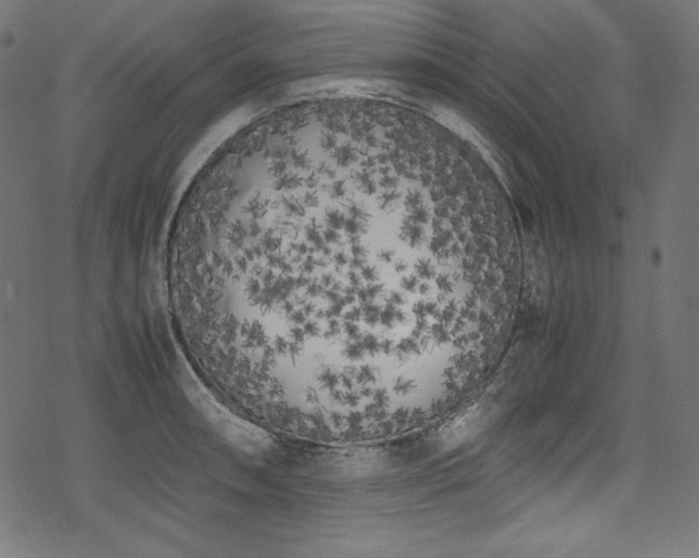 X0000078241090200611031104