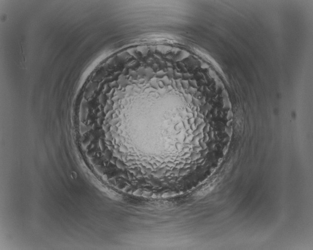 X0000078241091200611031104
