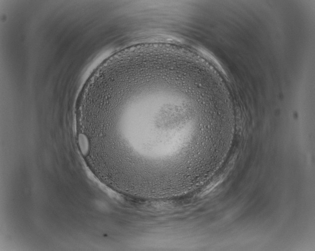 X0000078241095200611031104