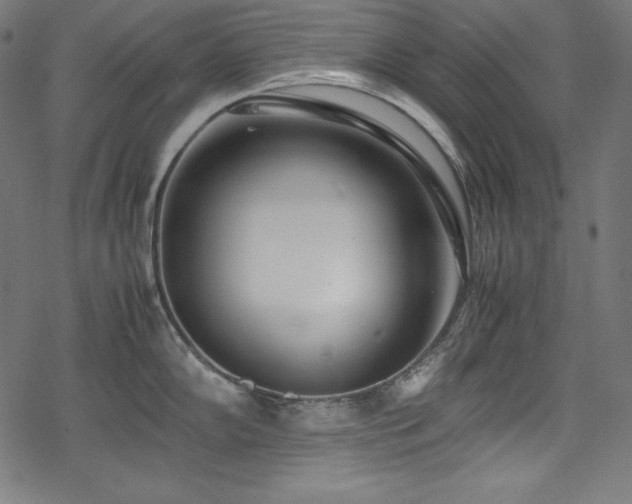 X0000078241102200611031103