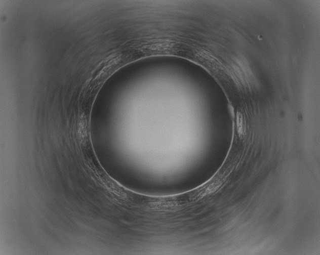 X0000078241107200611031103