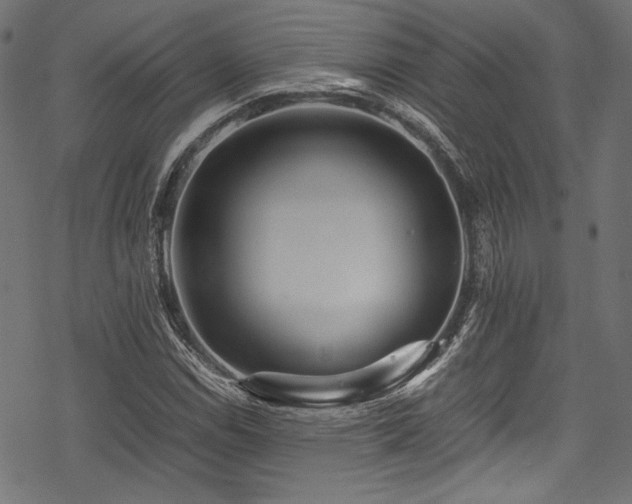 X0000078241114200611031103