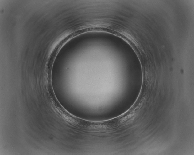 X0000078241119200611031103