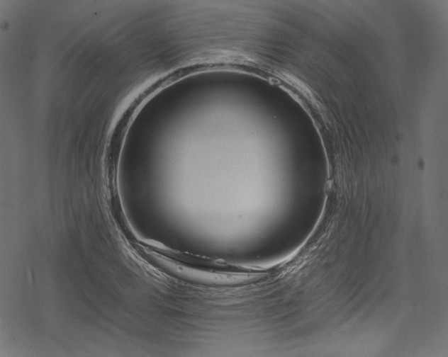 X0000078241120200611031103