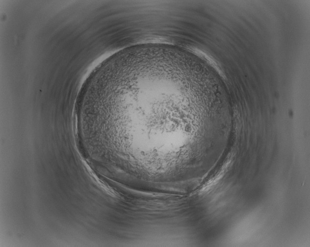 X0000078241125200611031103